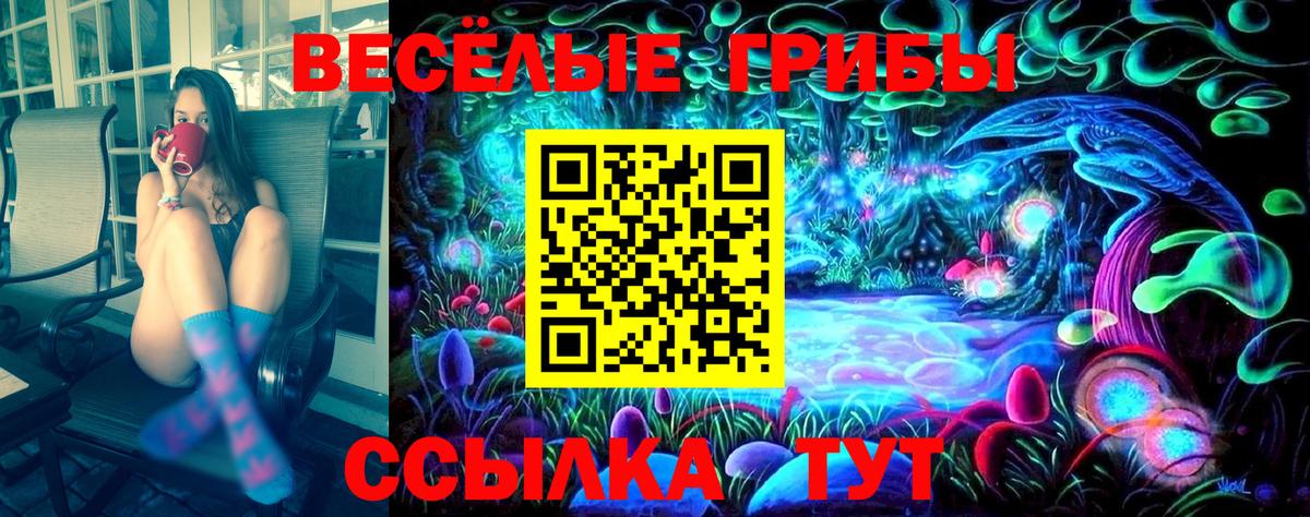 Галлюциногенные грибы Psilocybe  Вход с VPN  Ставрополь 